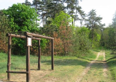 Hostel Borik - sprava za vježbanje u šumi